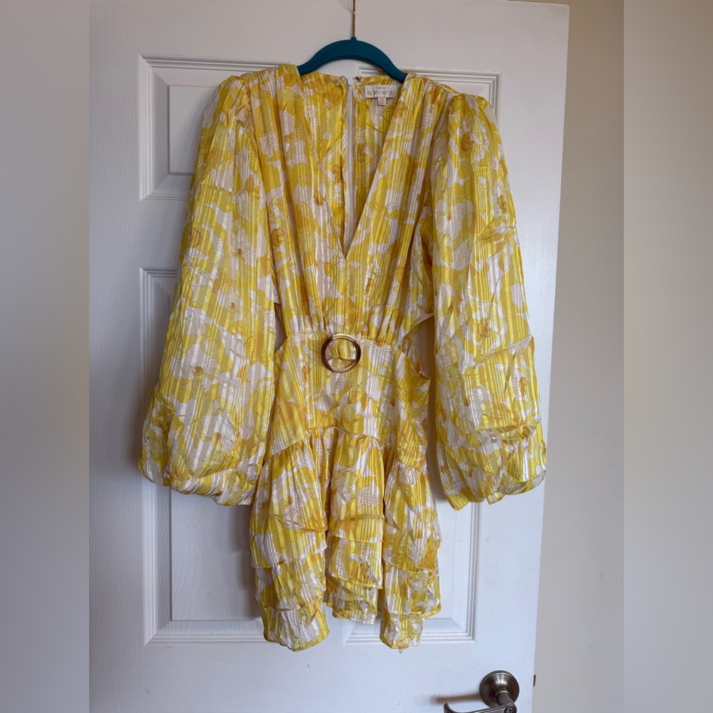 Torn by Ronny Kobo Yellow and Cream Mini Dress - Picture 4 of 5